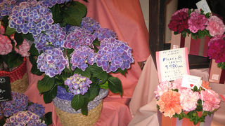 パークス内の生花店