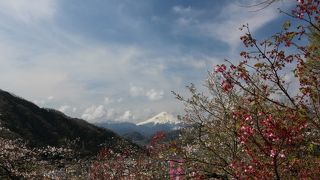 見どころたっぷりのハイキングルート