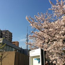 スカイツリーも微かに見える。