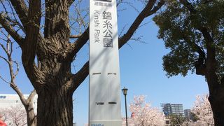 墨田区民の憩いの場。