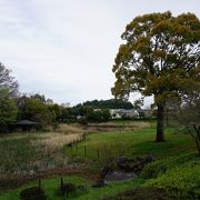 敷地の一角に池があって