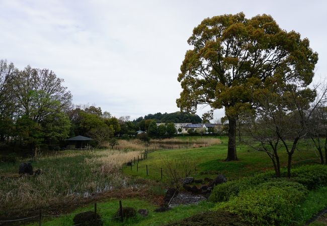 敷地の一角に池があって