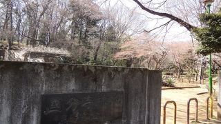 桜の名所でもあります