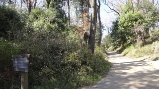 趣のある田舎道です