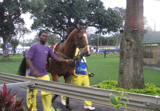 グレイヴィル競馬場