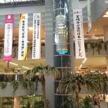 中心部が吹き抜けです。わかりやすいレイアウトでした。