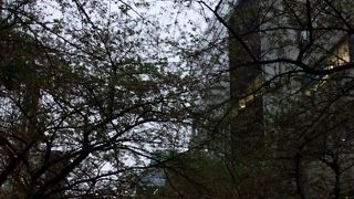 日本橋に向かう道