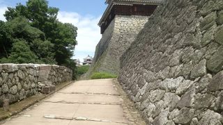 立派な天主閣、有料で内部観覧できます