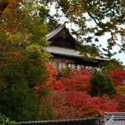 長谷寺で紅葉狩り～３～本堂