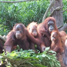 アーメン レストラン 