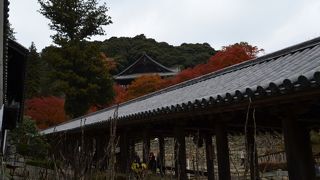 長谷寺で紅葉狩り～２～登廊