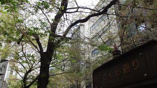 満開の折はさぞや賑わったことでしょう