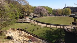 鯉のぼりが見たかったのですが…