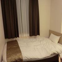 窓かと思ったら、カーテンの外は壁でした。