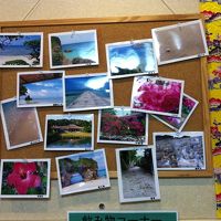 朝食会場の様子