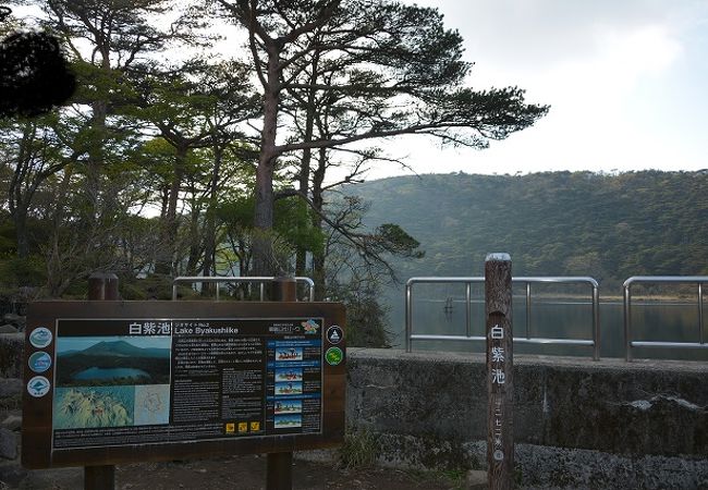 静かな雰囲気の水辺