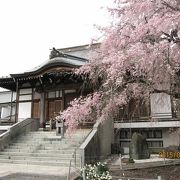 奈良時代に聖武天皇の詔により日本各地に建立された国分寺のうち、相模国国分寺の後継寺院にあたります。