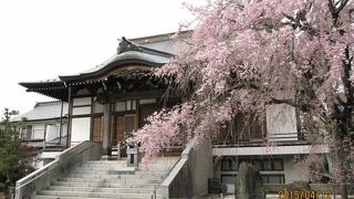 奈良時代に聖武天皇の詔により日本各地に建立された国分寺のうち、相模国国分寺の後継寺院にあたります。