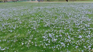 もっと時期が遅ければさらにきれいかも