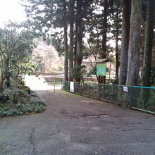 園内はかなり広い。