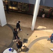 ワンちゃん連れ多かったです