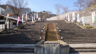 朝がおすすめです