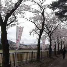 村松公園