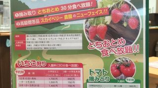 東北道佐野インターから車で五分でイチゴ狩り