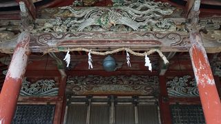 この時期は新緑がとってもきれい