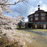 高原の桜の名所　少し遅い時期にも花見が楽しめます。