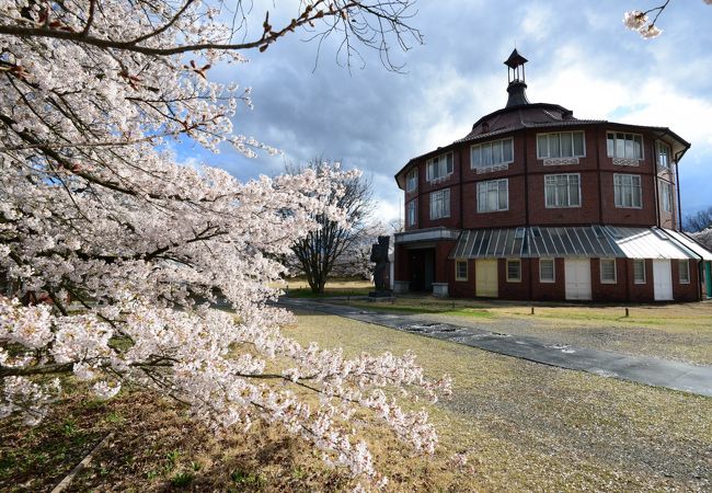 高原の桜の名所　少し遅い時期にも花見が楽しめます。