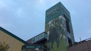 大きいウインズ