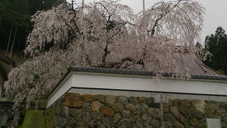 福徳寺 (京都市右京区)