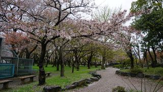 歴史博物館に向かう通り道