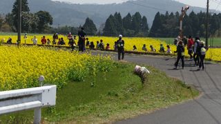 龍馬ハネムーンウォークin霧島
