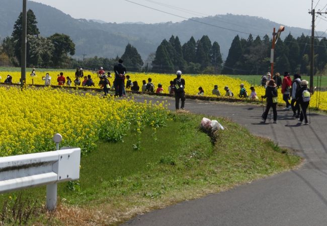 龍馬ハネムーンウォークin霧島