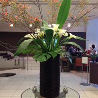 フロントの花がとてもきれいでした