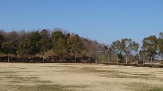 県営大仏山公園