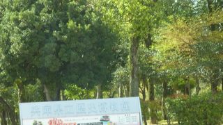 緑に囲まれた博物館