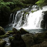 蓼科山の南、八ヶ岳の西、白樺湖の東、蓼科湖より北の一帯の総称