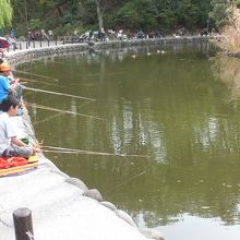 板橋区立郷土資料館 