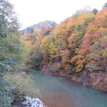 散策路からの豊平川沿いの紅葉
