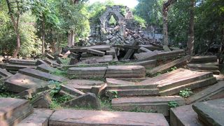 ジャングルの中にたたずむ建築物