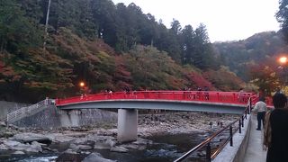 夜でも紅葉見たいよね～！！