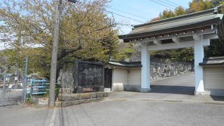 意外と見どころあります