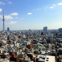 スカイツリーと下町