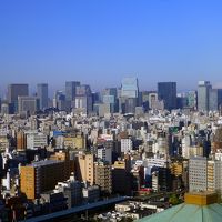 ビル群の左に東京タワー、右に富士山が微妙に見えます