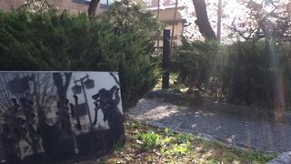 今年も満開でした