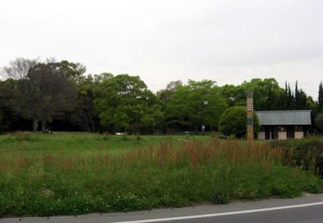 道路沿いの公園