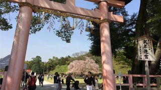 今日と明日、特別拝観 ♪